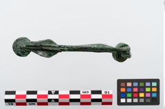 Foto von Bronzecertosafibel (NHMW-PRAE-024275)